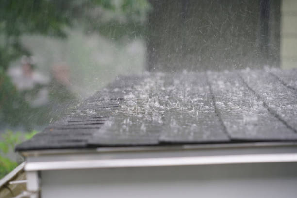 Best Roof Leak Repair  in Winter Gardens, CA