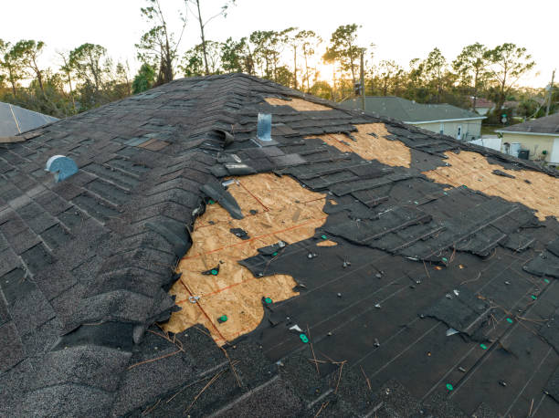 Best Green or Eco-Friendly Roofing Solutions  in Winter Gardens, CA