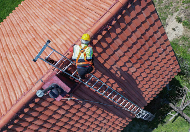 Best Solar Panel Roofing Installation  in Winter Gardens, CA